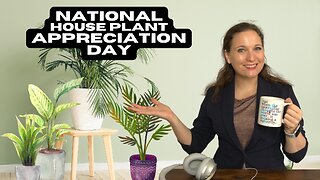 The Holidays Podcast: National House Plant Appreciation Day (Ep. 11)