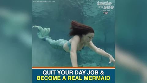 Weeki Wachee is looking for new mermaids | Taste and See Tampa Bay
