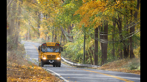 Top Myths about driving a School Bus - I could never tell where I am on the road