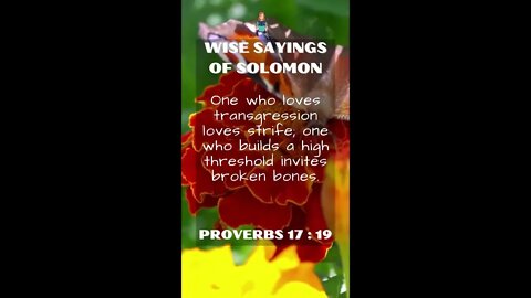 Proverbs 17:19 | NRSV Bible - Wise Sayings of Solomon