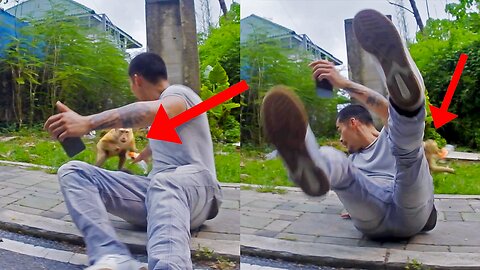 I Got Robbed by a Monkey in Thailand