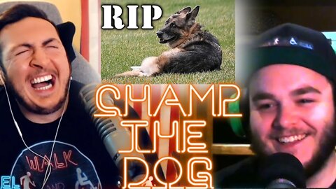 Champ The Dog | Walk And Roll Podcast Clip