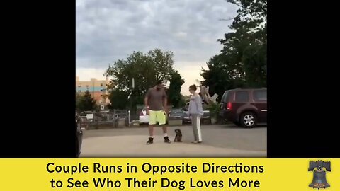 Couple Runs in Opposite Directions to See Who Their Dog Loves More