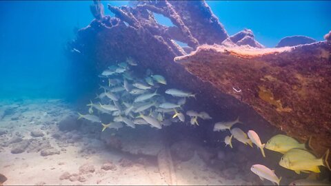 Wreck of the Benwood Off Key Largo