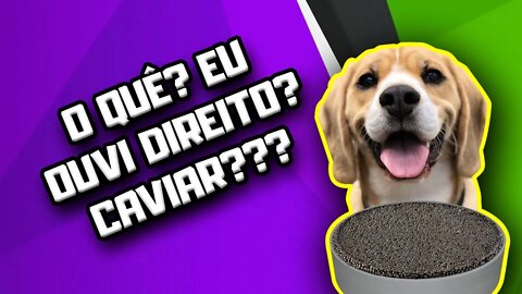 Fosfolipídeo de caviar para Cães: tratamento de doença renal, atopia, doença cardíaca, demência...