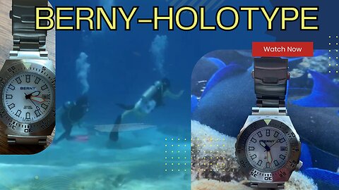 SCUBA Diving with a Berny Holotype Homage Dive Watch at San Francisco Wall, Cozumel, QRoo, Mexico