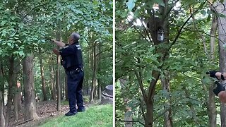 Police rescue raccoon with head stuck in jar