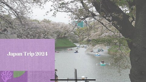 Things To Do in Japan 2024! #shenmue