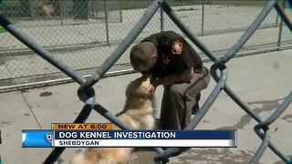 Former kennel owners charged in Sheboygan County dog deaths