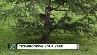 Tick-proofing your yard