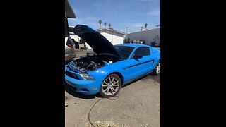 Super Charged 3.7L Mustang~Electric Blue~