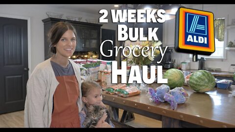 2 Weeks Bulk Aldi Grocery Haul/ Pantry Update! EP 44