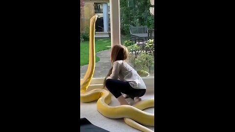 Friendship with the snake