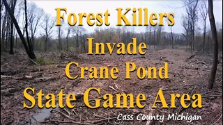 Clear Cutting in Crane Pond State Game Area, Three Rivers Michigan