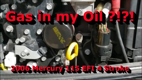 Gas in my Oil? Mercury Outboard Motor Issue Fixed