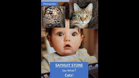 SAYHUIT STONE PERU. A Record of a Super-Civilization...of Cats!