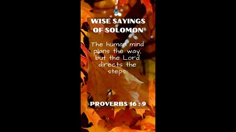 Proverbs 16:9 | NRSV Bible | Wise Sayings of Solomon