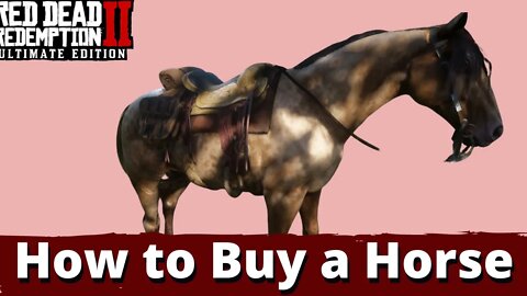 How to Buy a Horse in Red Dead Redemption 2