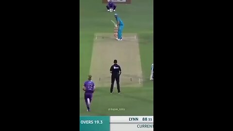 cricket short video