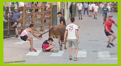 CORTES ( NAVARRA ) TARDE TOROS Y VACAS EN CALLE ( SABADO 24 JUNIO 2023 ) HNOS.GRACIA