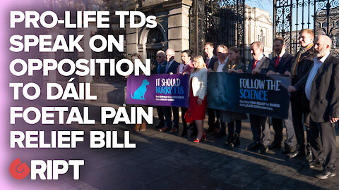"You wouldn't do it to a dog": Pro-life TDs push for foetal pain relief