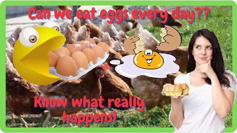 Eat Eggs Every Day - See What Really Happens to Your Body!!!