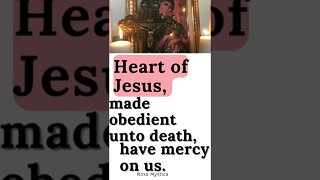 Heart of Jesus, made obedient unto death, have mercy on us #shorts #catholicprayer