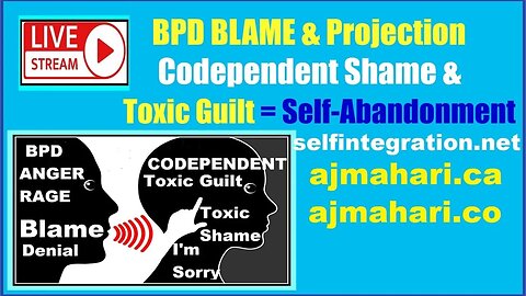Borderlines Projective Blame - Codependents False Self - Toxic Shame & Guilt - False Responsibility