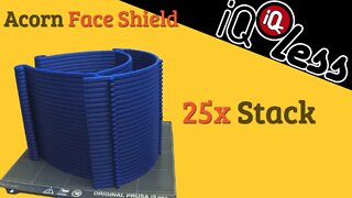 Acorn Face Shield 25x Stack