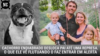 Cachorro inquieto desloca pai até uma represa. O que ele vê flutuando o faz entrar em alerta