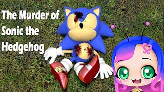 Sonic the Hedgehog Meets his Match