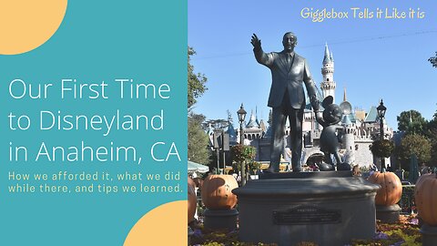 What we learned from our first trip to Disneyland | 2016 | Fairfield Inn by Marriott Anaheim Resort