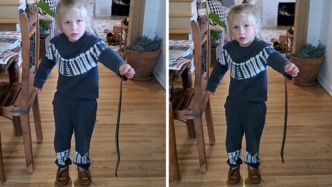 Kid brings live snake into home, immediately regrets it