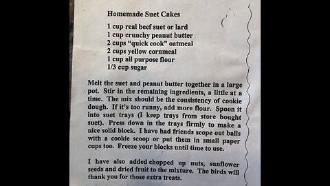 How to make homemade suet cakes for birds, squirrels and other wildlife.