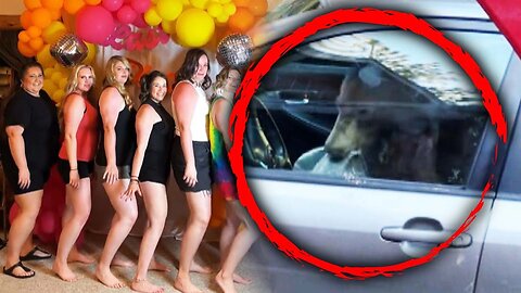 Trapped Bear Destroys Inside of Car at Bachelorette Party