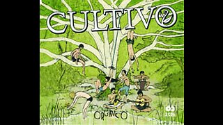 Cultivo - Orgânico