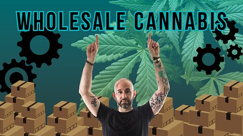 #84 Pivoting in Wholesale Cannabis