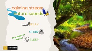 calming stream and nature sounds