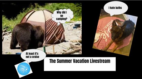 Vacation Stream!