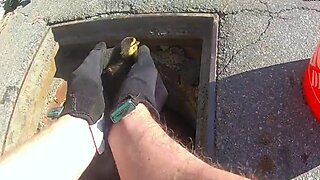 Police officers rescue ducklings from sewer grate