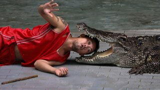 The wildest crocodile attacks caught on camera