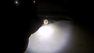 Police officer rescues dog that fell through ice