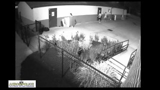 Akron PD looking for 3 vandals who damaged Shaw JCC property