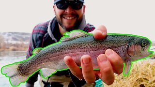 I had 4,000 HUNGRY FISH all to myself! Idaho Stocked Trout Fishing