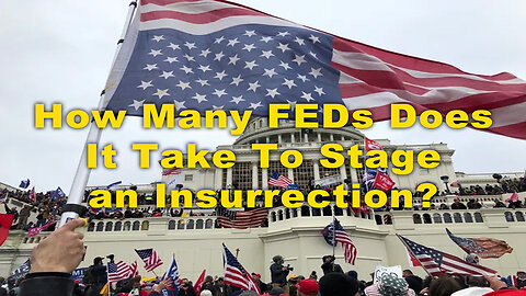 How Many FEDs Does It Take To Stage an Insurrection?