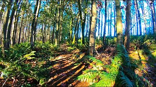 Walking In WITCH COUNTRY ENGLAND - Newchurch To Barley Village 4K #walking