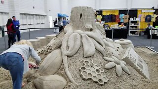 Sand Sculptures at ABF