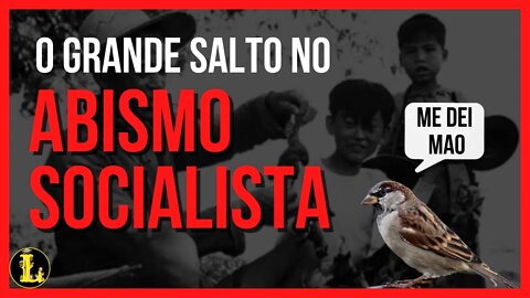 O Grande Salto Adiante - Planos Mirabolantes do Socialismo #02