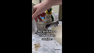 My baby bird's shower routine!