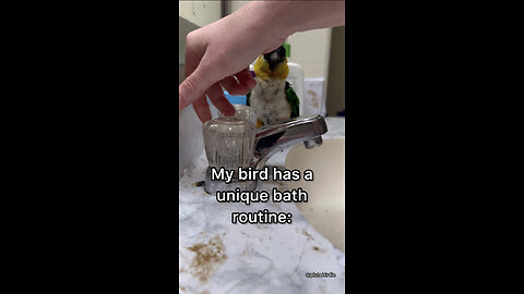 My baby bird's shower routine!